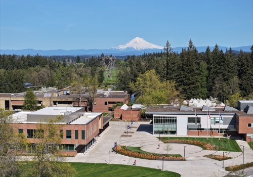 Exploring Diversity and Inclusion: Public Policies in Clackamas County, Oregon